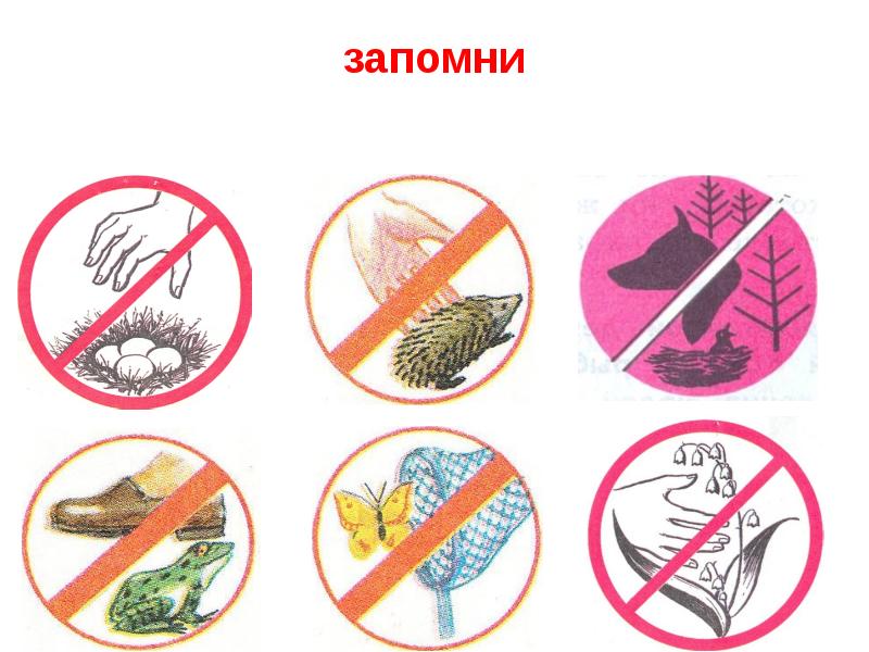 знаки охраны животных. запрещающие экологические знаки. экологический знак природы. знаки береги животных 3. знаки защиты природы.