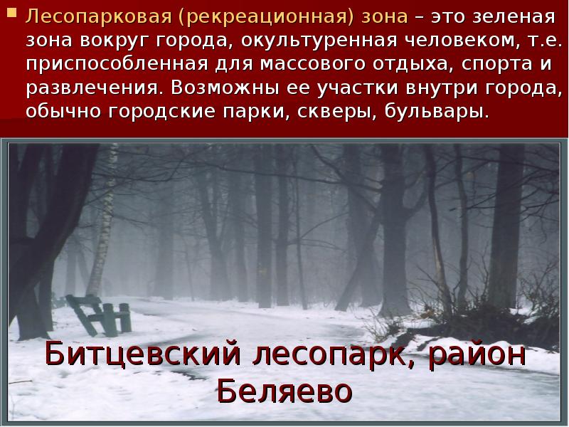 Битцевский лесопарк, район Беляево Лесопарковая (рекреационная) зона – это зеленая зона