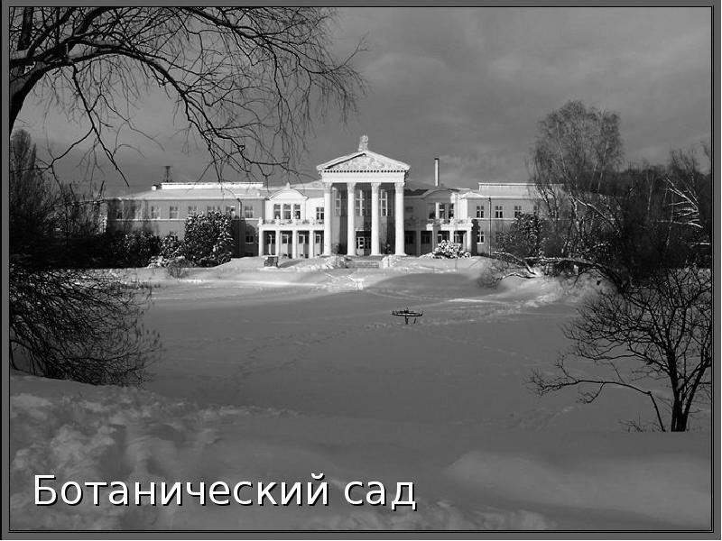 Ботанический сад Ботанический сад