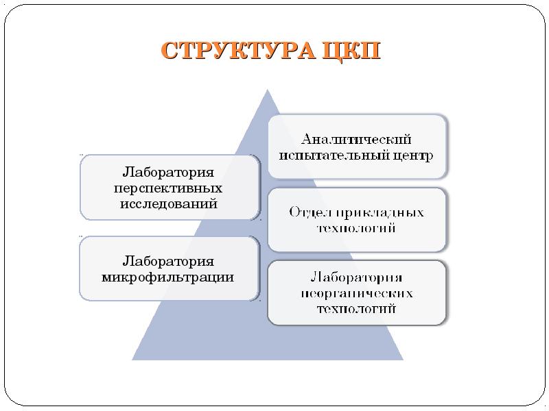 Коллективное пользование. Структура ЦКП. Структура целевой комплексной программы. Структура испытательного центра. Структура аналитической лаборатории.