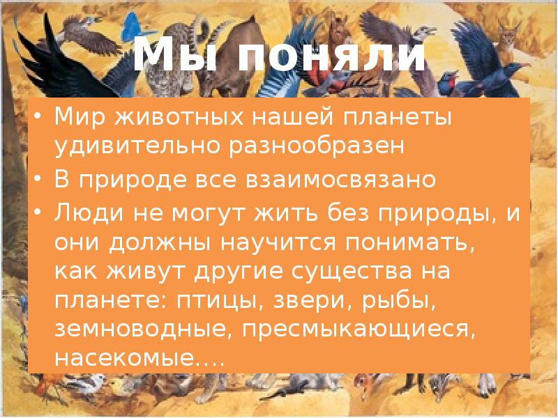 Животный мир нашей планеты презентация