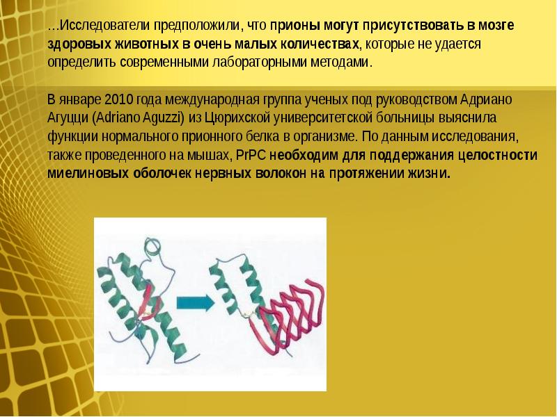 Прионы микробиология презентация