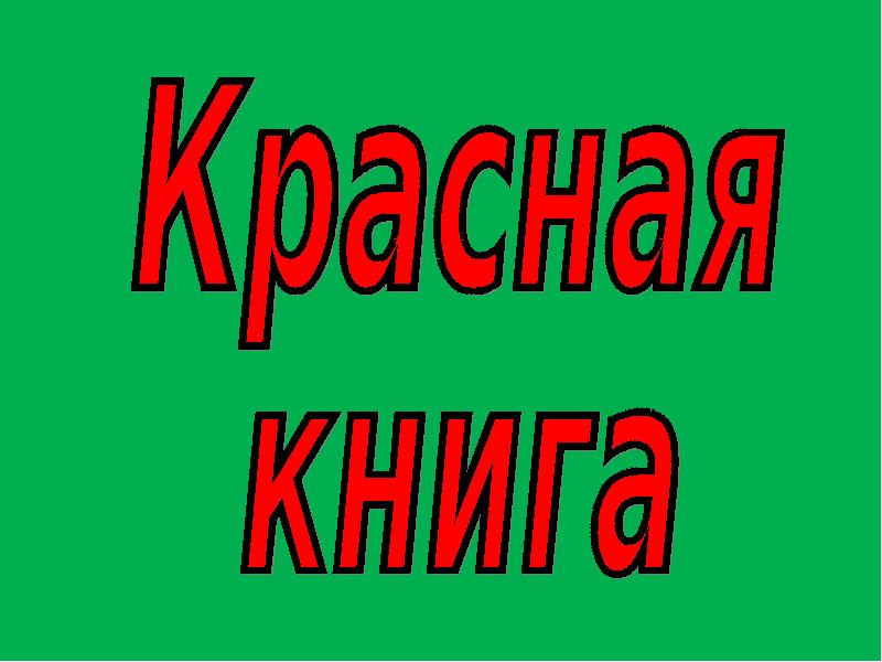 Красный урок. Тема урока красная книга. Надпись красная книга. Тема урока красгаякрига. Красивая надпись красная книга.