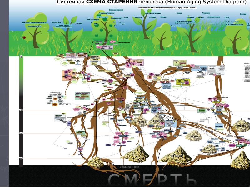 Системная схема старения человека