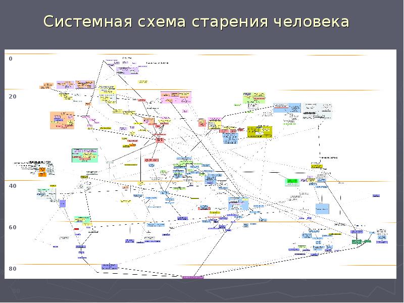 Системная схема старения человека