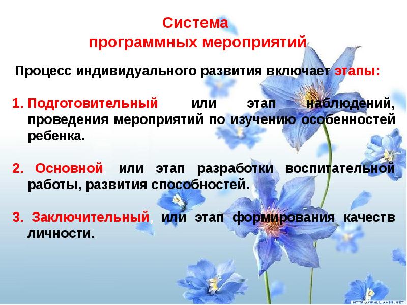 Программа индивидуального развития ребенка презентация