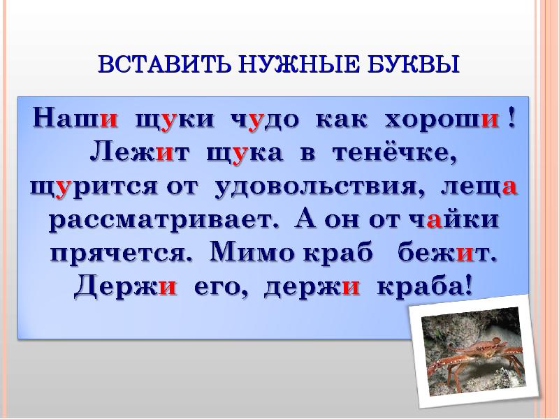 Вставь нужные буквы. Наши щуки чудо как хороши лежит. Для чего нужны буквы. Для чего нам нужны буквы. Текст наши щуки чудо как хороши.