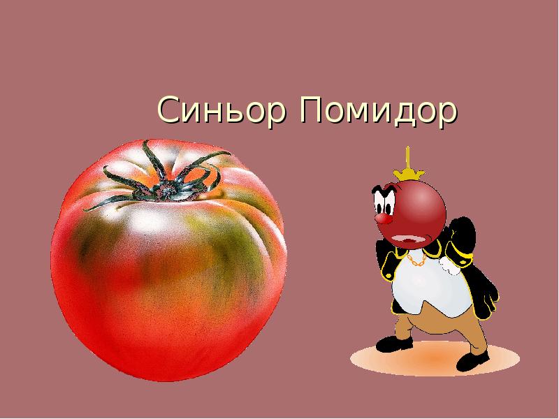 Синьор помидор проект