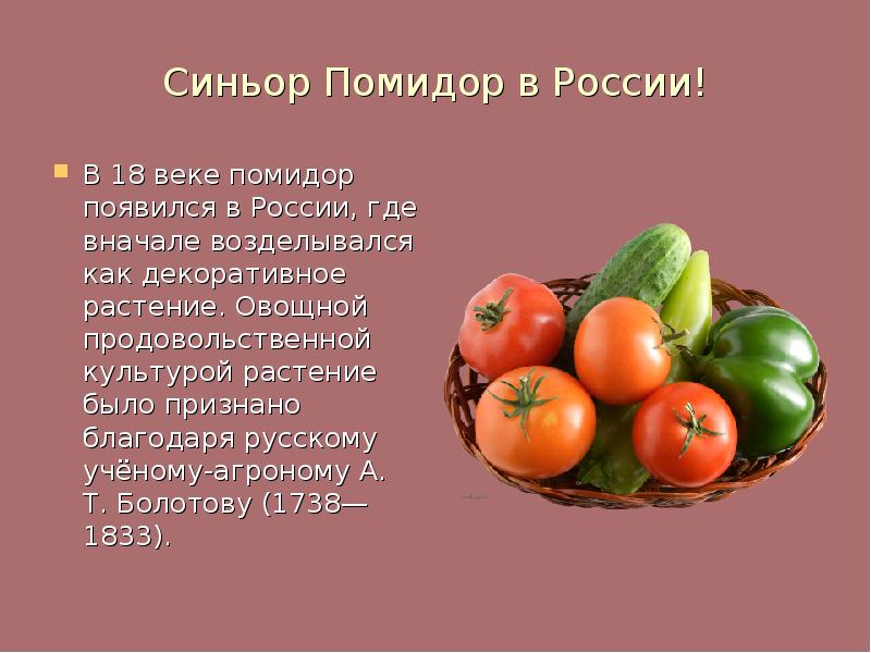 Помидор это ягода или нет. Рассказ о помидоре. Презентация на тему помидор. Сообщение на тему помидор. Сообщение на тему томат.