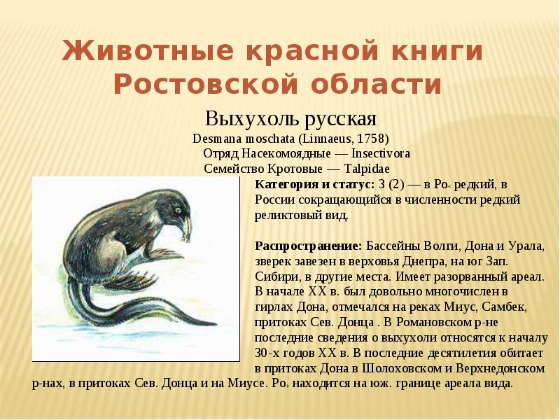 Красная книга животное презентация