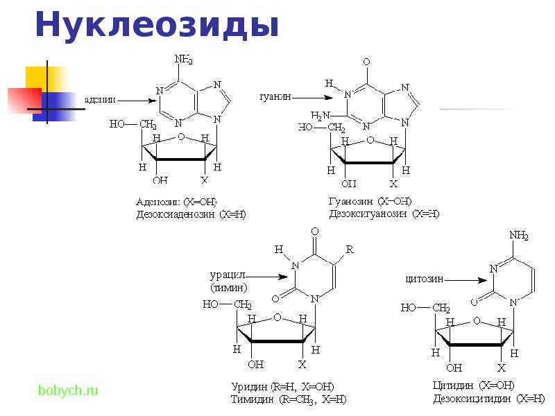 Схема образования дезоксицитидина