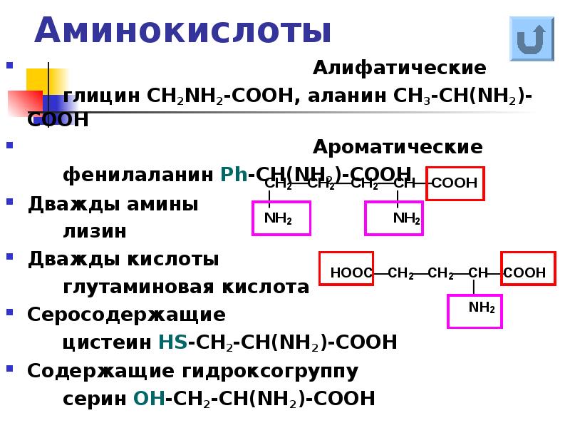 Глицин аланин глутаминовая кислота