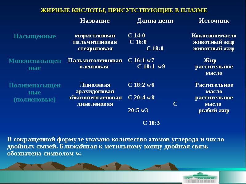 Презентация липидный обмен