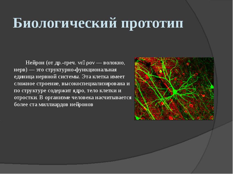 Биологический прототип
Нейрон (от др.-греч. νεῦρον — волокно, нерв) — это Биологический прототип
Нейрон (от др.-греч. νεῦρον — волокно, нерв) — это