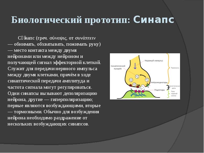 Биологический прототип: Синапс
Си́напс (греч. σύναψις, от συνάπτειν — обнимать, обхватывать, Биологический прототип: Синапс
Си́напс (греч. σύναψις, от συνάπτειν — обнимать, обхватывать,