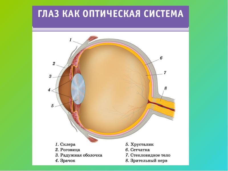 Глаз и зрение оптические приборы презентация