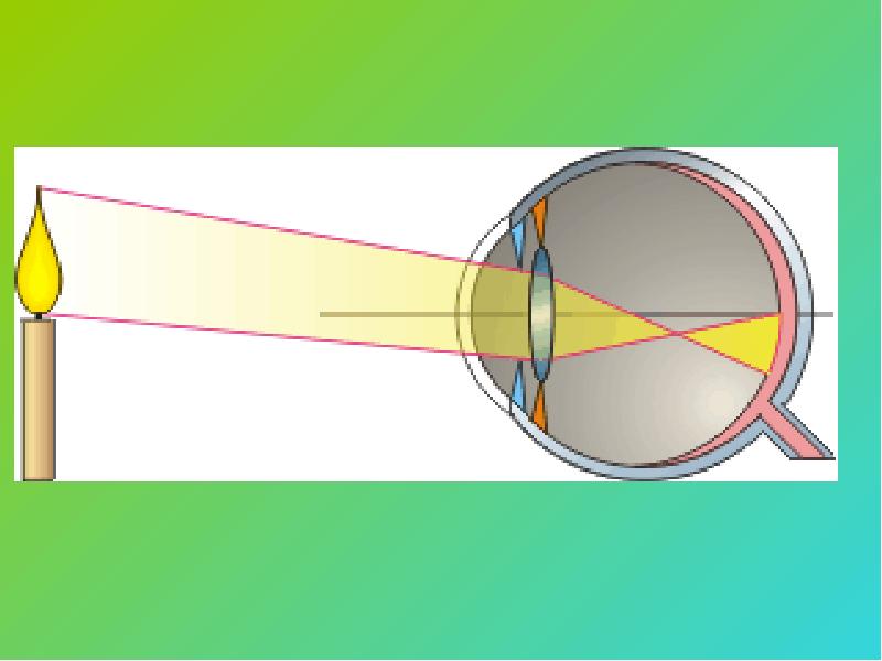 Глаз и зрение оптические приборы презентация
