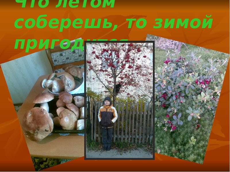 Что летом родится то зимой пригодится. «что летом родится, зимой пригодится» (фрукты). фотоплакат что летом родится зимой пригодится. что летом родится то зимой пригодится картинка. что летом родится то осенью пригодится.