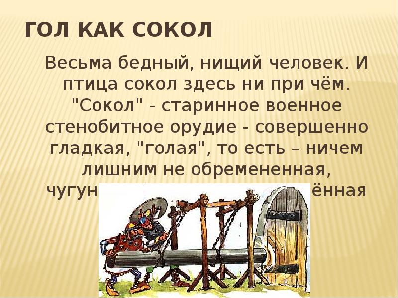 Гол как сокол значение