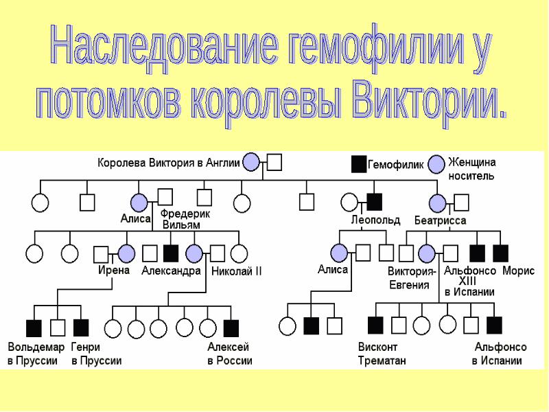 Генетическое поле