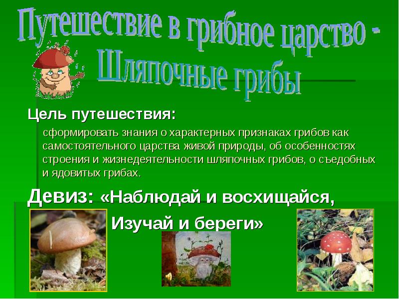 Цель путешествия. Девиз грибов. Путешествие Грибное царство. Девиз про грибы. Слоган к грибочкам.