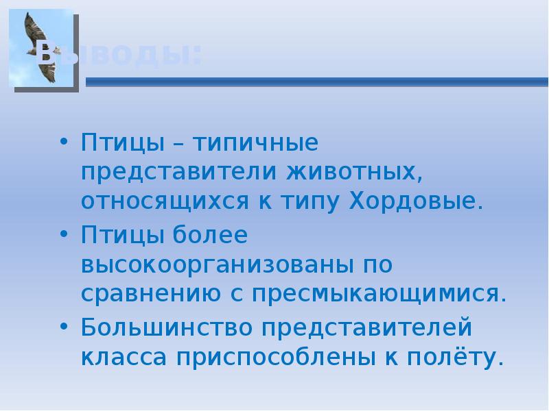 Вывод о птицах. Вывод о типичных птицах. Типичные птицы представители. Птицы по сравнению с пресмыкающимися. Вывод по птицам.