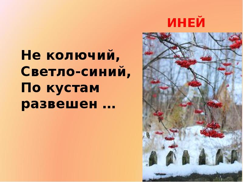 Ходит по лесу осень развешивает по кустам. Не колючий светло-синий по ветвям развешан иней. По ветвям развешан иней. Не колючий светло-синий по кустам развешан. Не колючий, светло-синий по ветвям развешан иней — погляди хоть ты!.