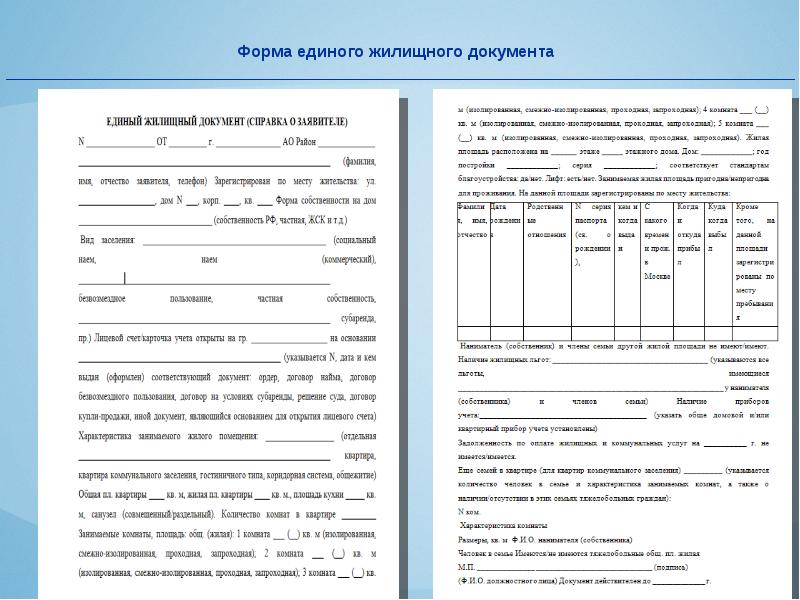 Единая документация. Единый жилищный документ образец 2022. Единый жилищный документ образец из МФЦ. Единый жилищный документ образец 2019. ЕЖД единый жилищный документ что это такое.