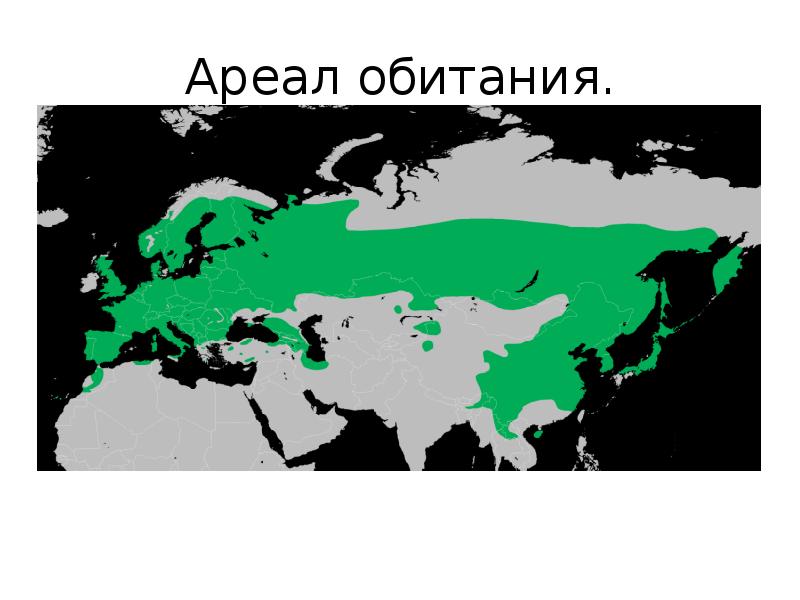 Ареал рыси в россии карта