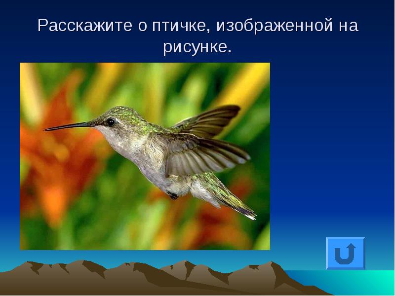 Расскажите птицы авторы. Наука о птицах. Пернатая наука 11 букв.