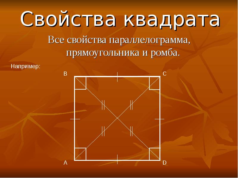 Свойства диагоналей квадрата