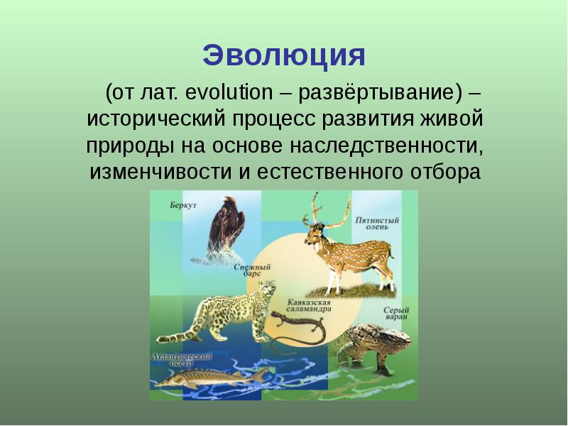 Эволюционное учение презентация