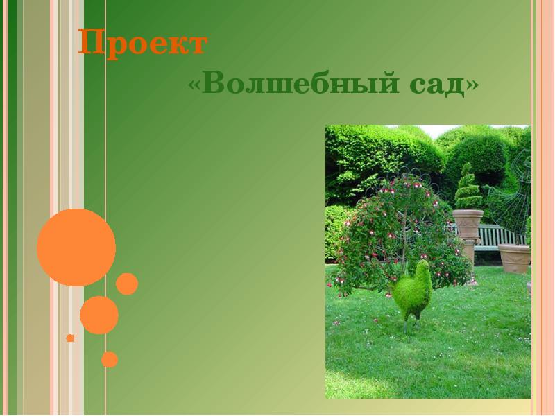 Презентация на тему мой сад. Сочинение про сад. Презентация на тему мой сад. Картинка сад для презентации по английскому. Садоводство презентация.