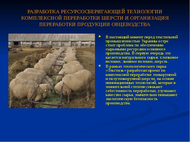 Схема технологии производства продукции овцеводства