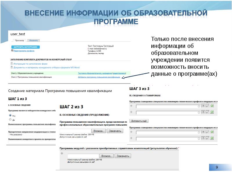 Информация внесена в отчет