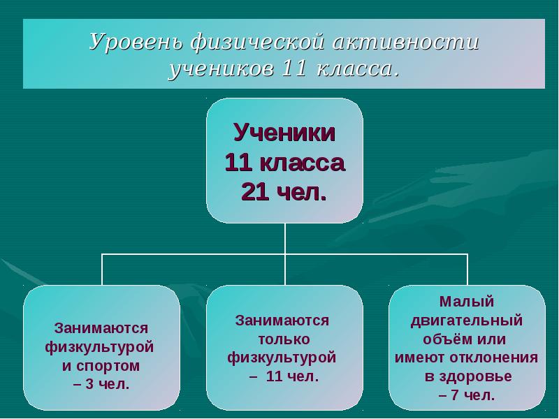 Уровни активности. Уровни физической активности школьникам. Уровень активности учеников что это. Уровень активности учеников какой.