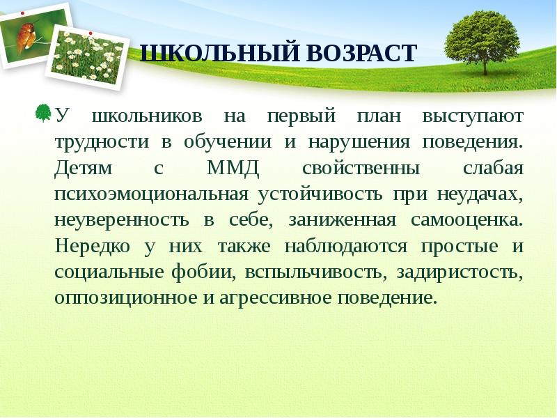 Презентация минимальная мозговая дисфункция