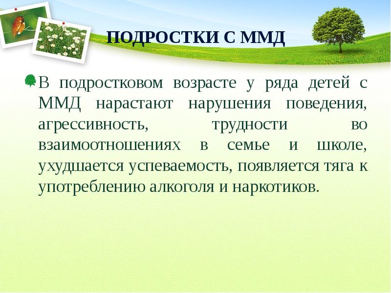 Презентация минимальная мозговая дисфункция