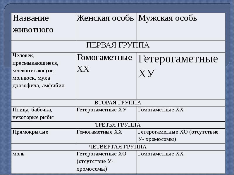 Генетика пола презентация 10 класс