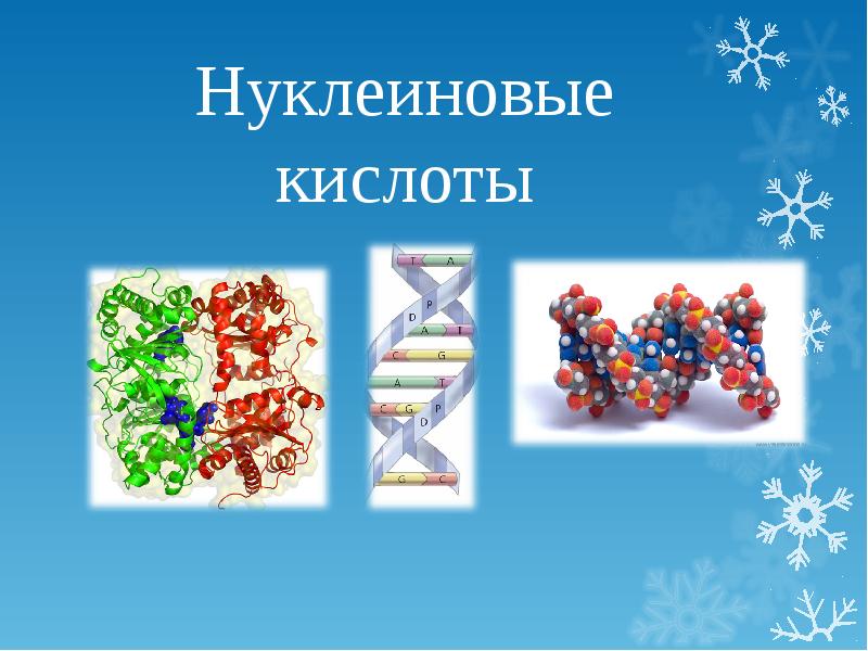 Нуклеиновые кислоты ученые. Нуклеиновые кислоты. Нуклеиновые кислоты фото. Нуклеиновые кислоты картинки для презентации. Биополимеры нуклеиновые кислоты.