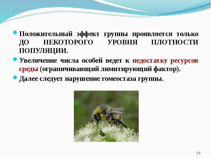 Ограничивающие факторы наземно воздушной среды. Эффект группы популяции. Популяция насекомых. Эффект группы в экологии. Эффект группы примеры.