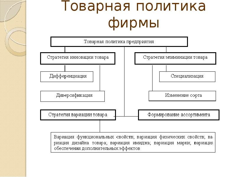 Организационные рамки проекта