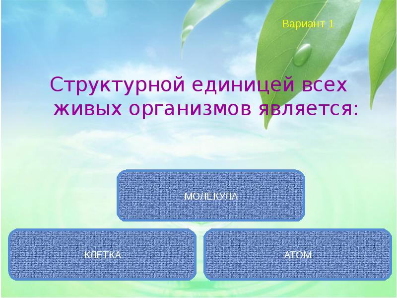 Организм это живая система. Способности живых организмов. Целостная система живой организм. Признаки живых организмов целостность. Совокупность всех живых организмов земли это.