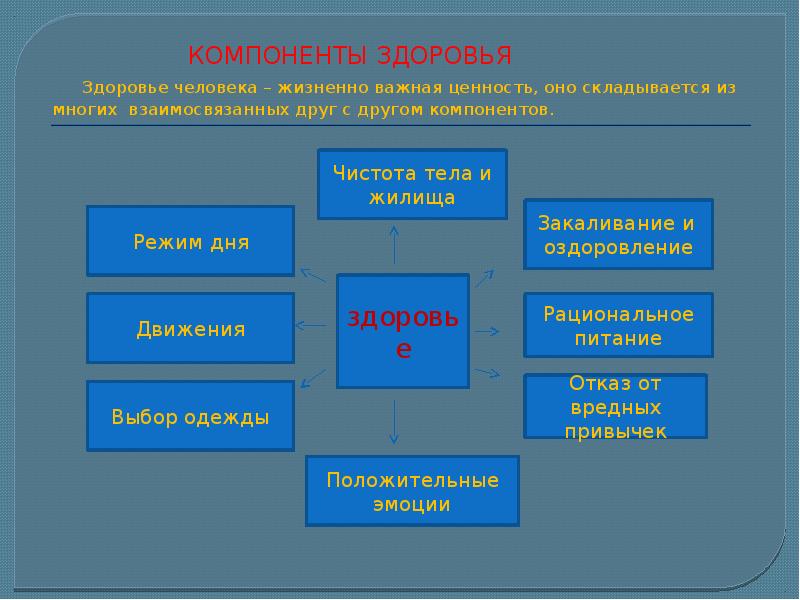 Компоненты здоровья человека