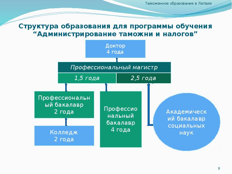 Структура образования