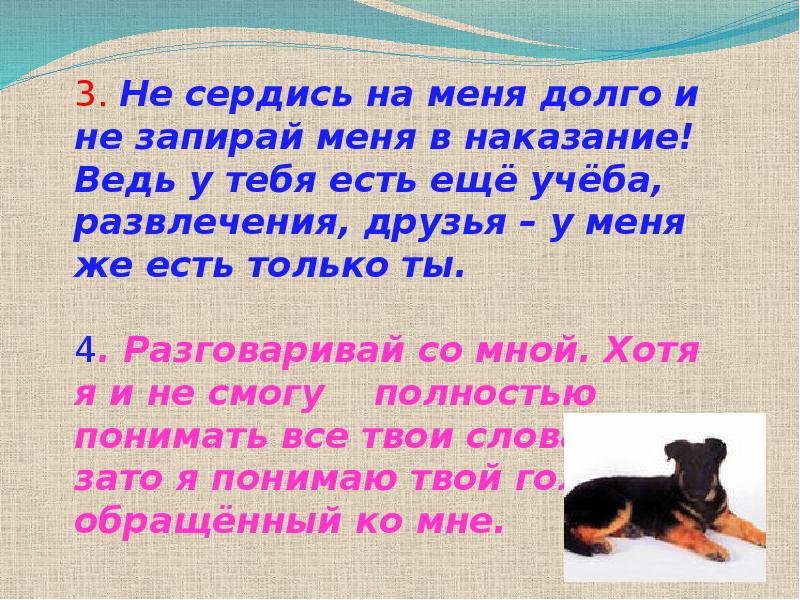 В ответе за них. Ты в ответе кого приручил. Ты в ответе за тех кого приручили сочинение. Мы в ответе за тех кого приручили сочинение. Маленькое сочинение на тему мы в ответе за тех кого приручили.