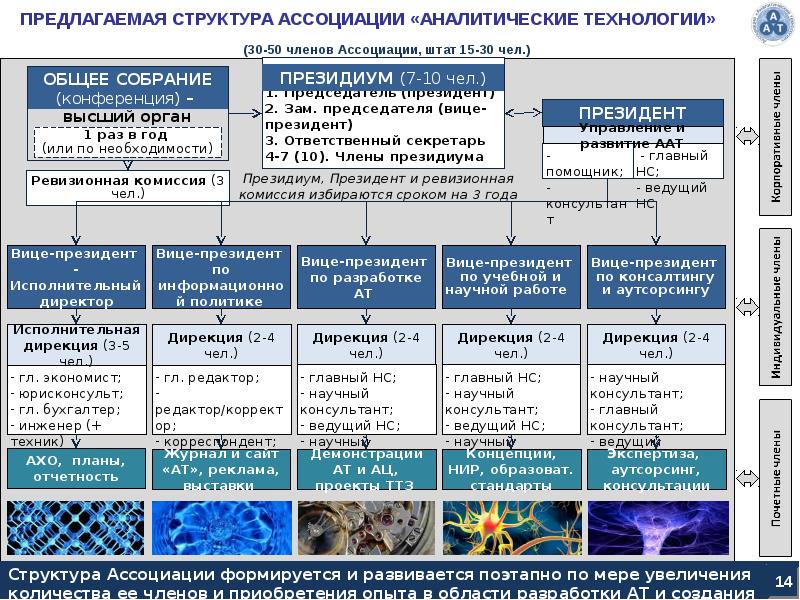 Структура ассоциации схема