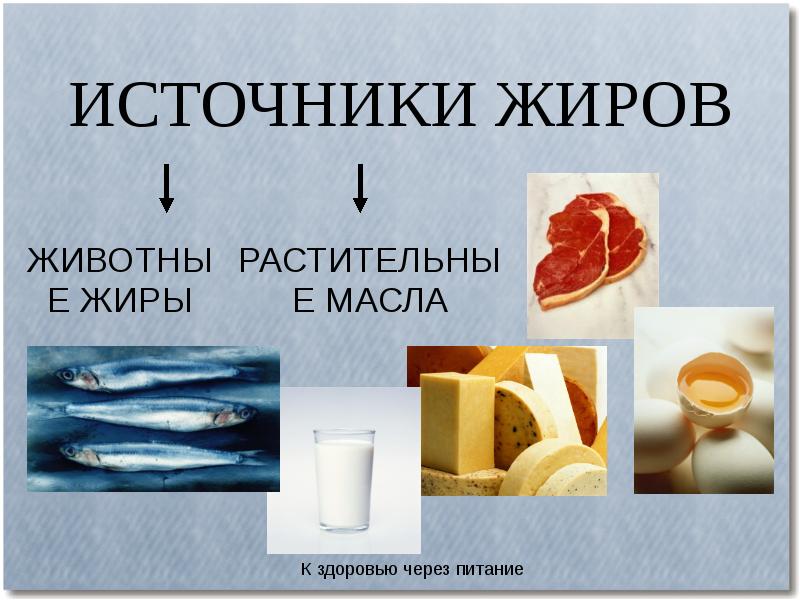 Источники скрытых жиров ответ на тест основы