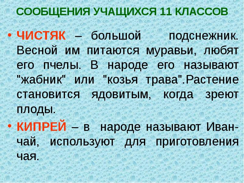 Сообщение учащихся. В народе его прозвали. В народе его прозвали 3 класс. Открытое сообщение ученику 3 класса.