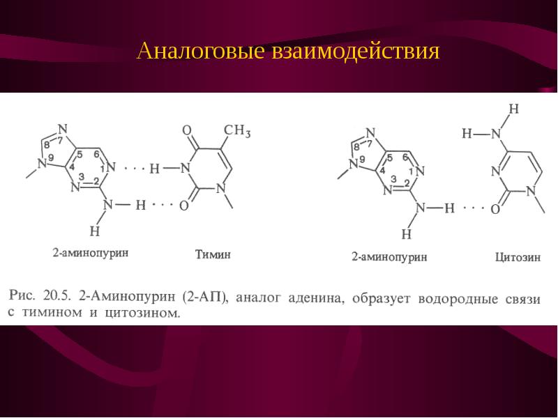 Водородный связи между аденином и тимином. Водородные связи в цитозин. Таутомерные формы оснований ДНК. Цитозин образует водородные связи с.... Аденин и Тимин водородная связь.